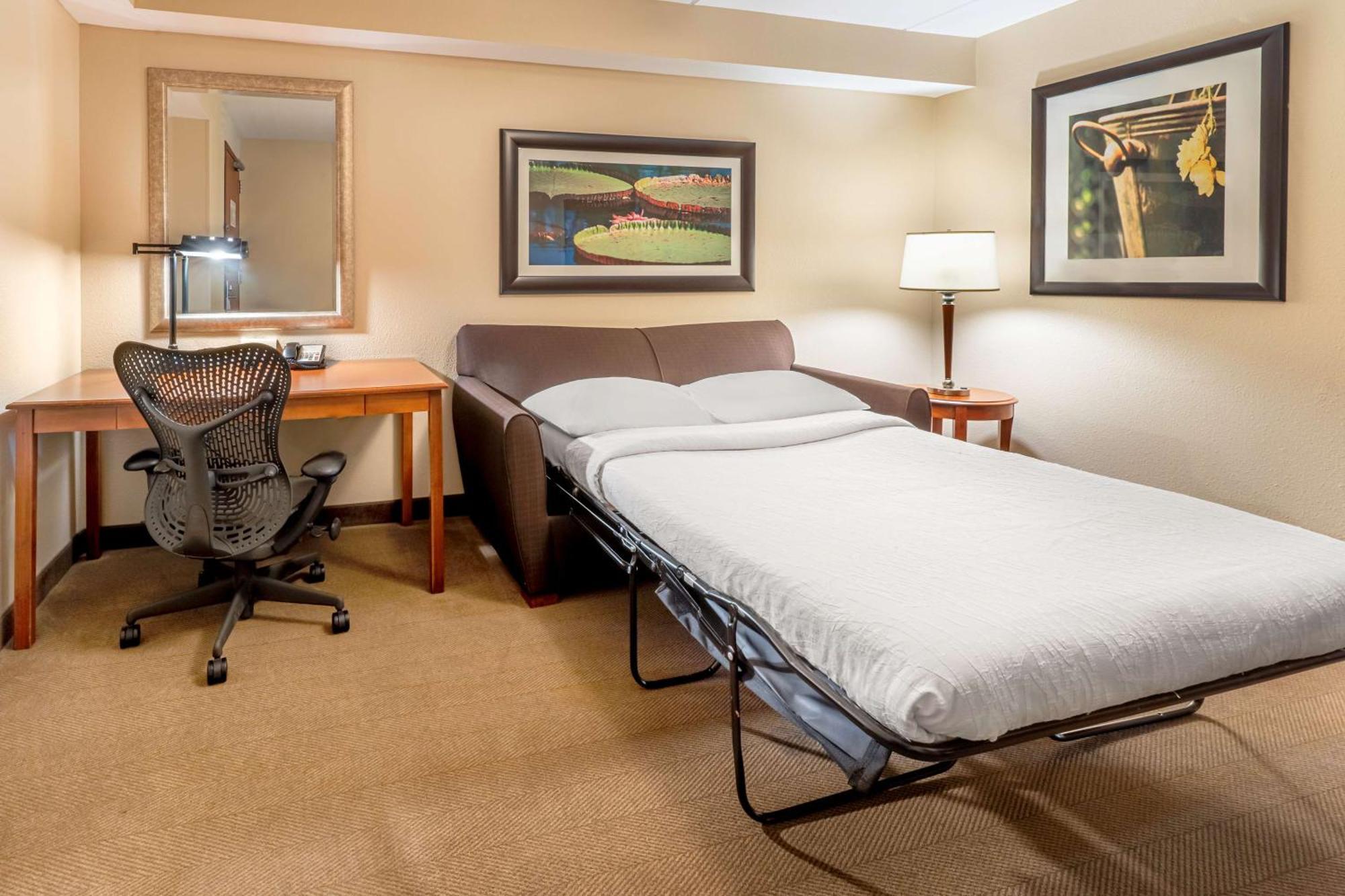 Hilton Garden Inn Houston/Зе-Вудлендс Экстерьер фото