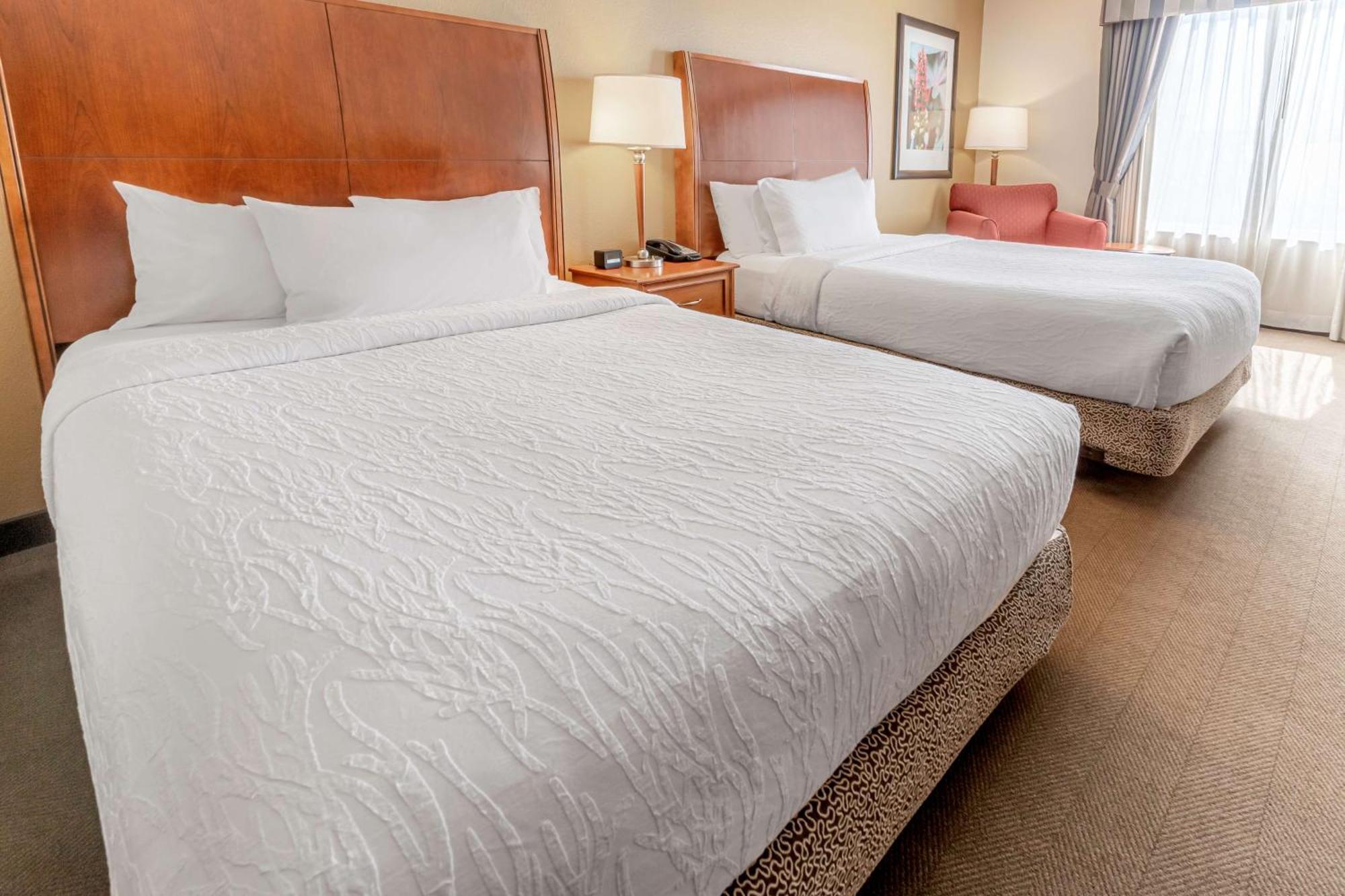 Hilton Garden Inn Houston/Зе-Вудлендс Экстерьер фото