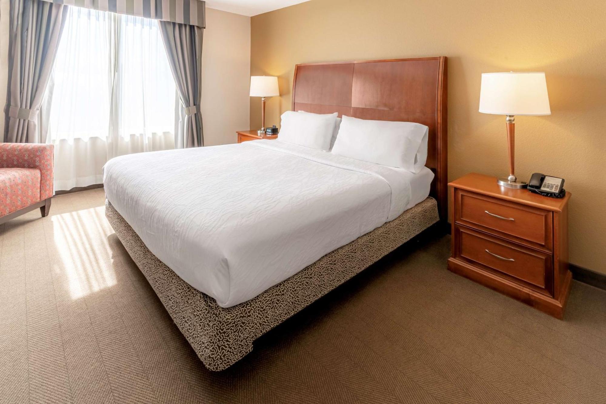Hilton Garden Inn Houston/Зе-Вудлендс Экстерьер фото